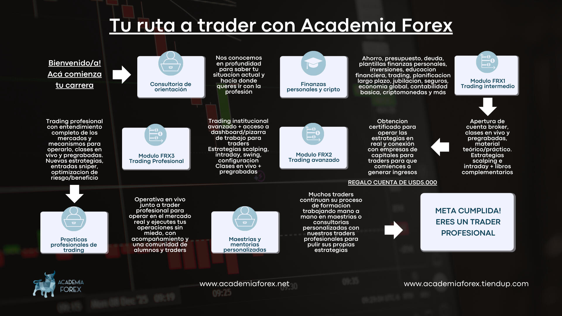 Tu ruta a trader con Academia Forex