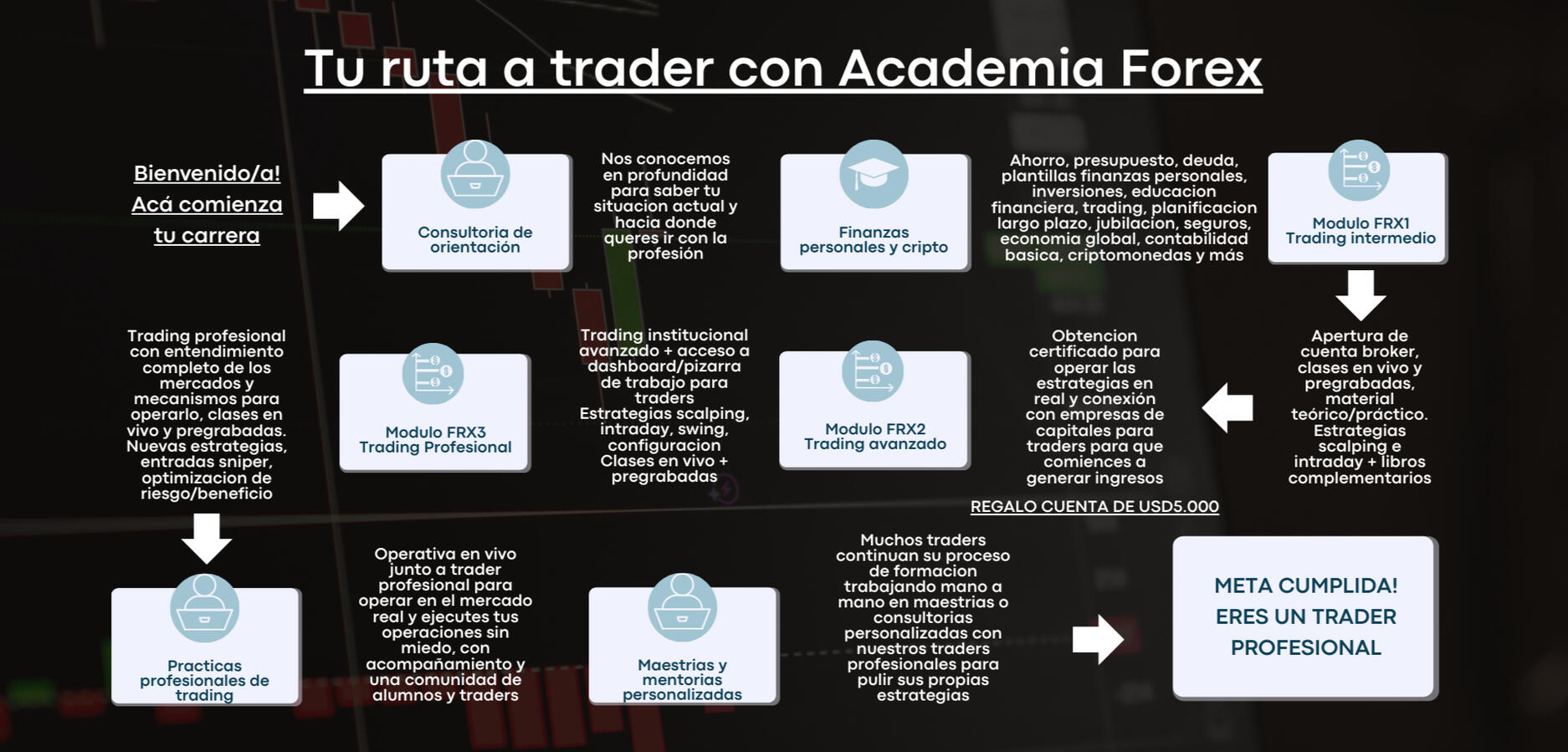 Camino a Trader Profesional